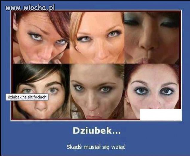 dziubek.jpg